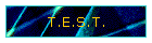T.E.S.T.